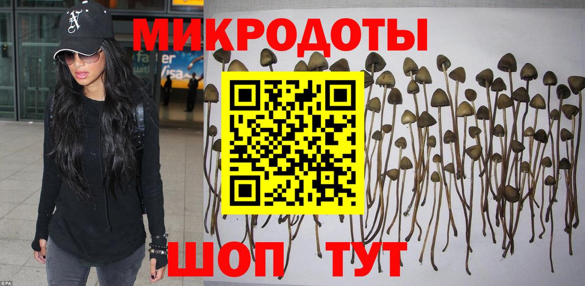 Псилоцибиновые грибы GOLDEN TEACHER Красноуфимск