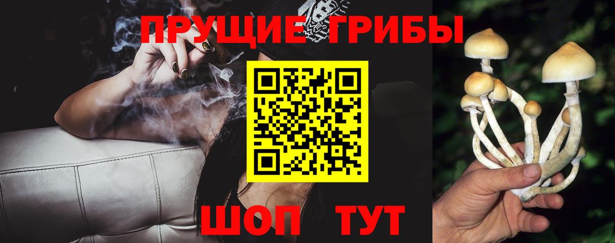 Галлюциногенные грибы мицелий  Вход с VPN  Галлюциногенные грибы Psilocybe  Красноуфимск 